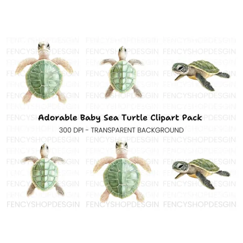 Adorable Baby Sea Turtle Clipart Bundle