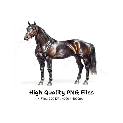 Majestic Brown Horse Clipart Bundle