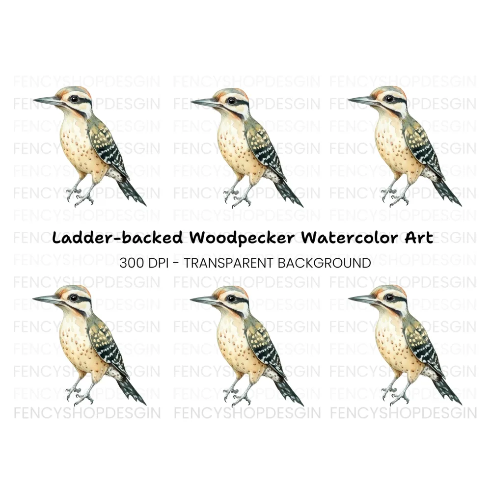 Cute Spotted Woodpecker Clipart Bundle