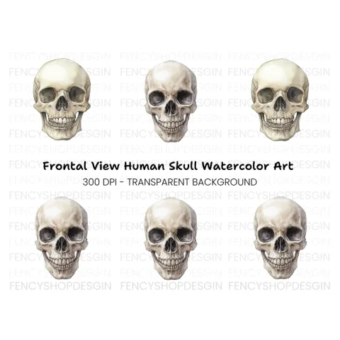 Detailed Human Skull Clipart Bundle
