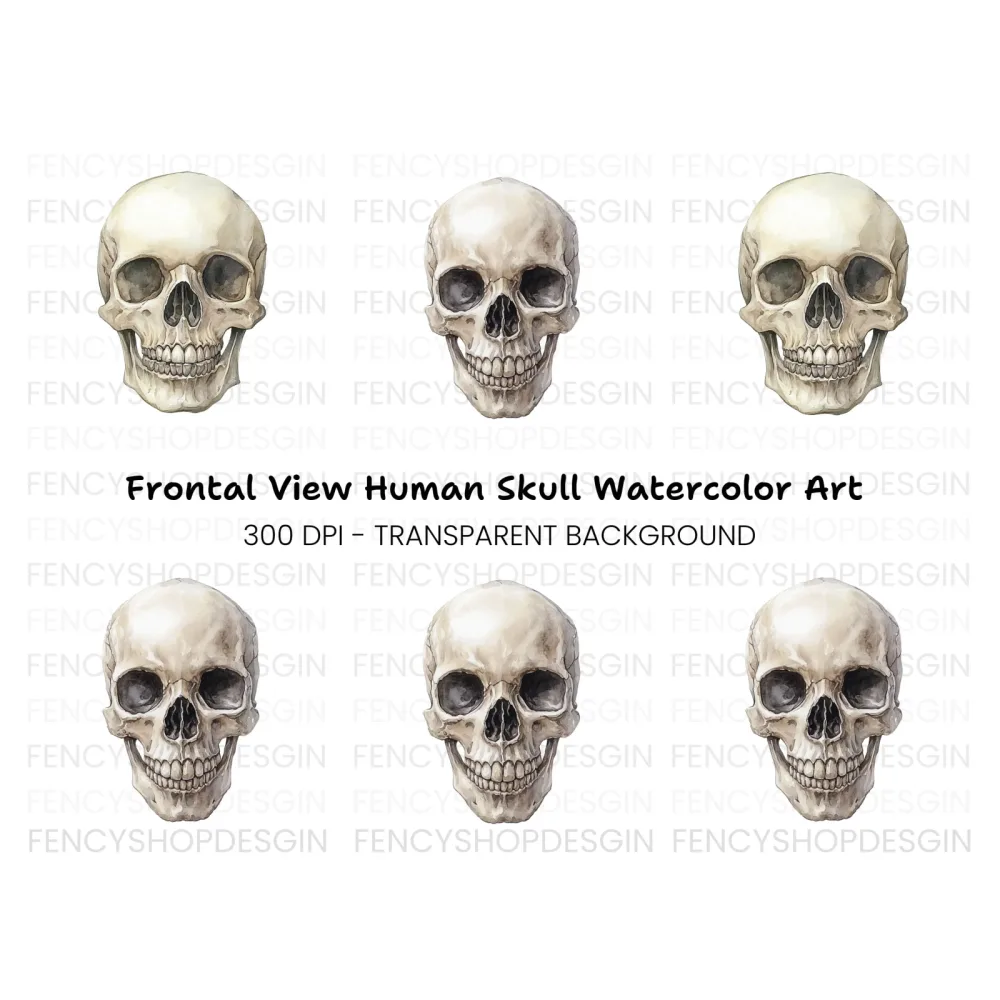 Detailed Human Skull Clipart Bundle