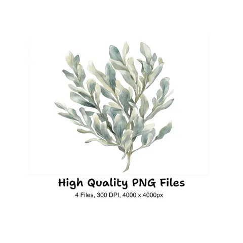 Eucalyptus and Sage Green Leaf Clipart Bundle