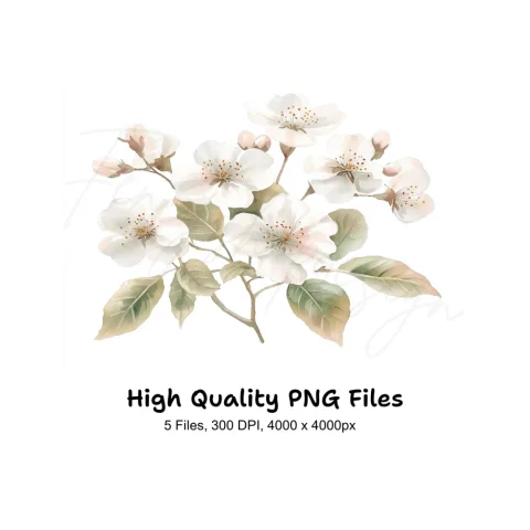 Delicate White Cherry Blossom Clipart Bundle