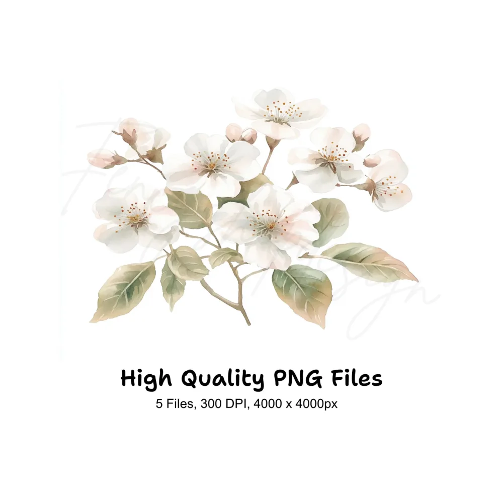 Delicate White Cherry Blossom Clipart Bundle