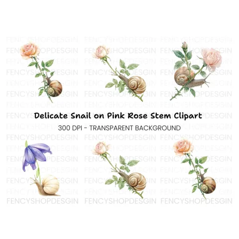 Snails and Flowers Clipart Bundle