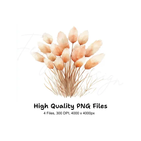 Pampas Grass Clipart Bundle