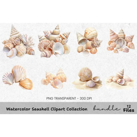 Seashell Clipart Bundle