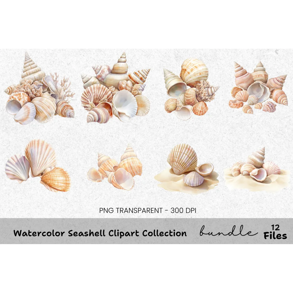 Seashell Clipart Bundle