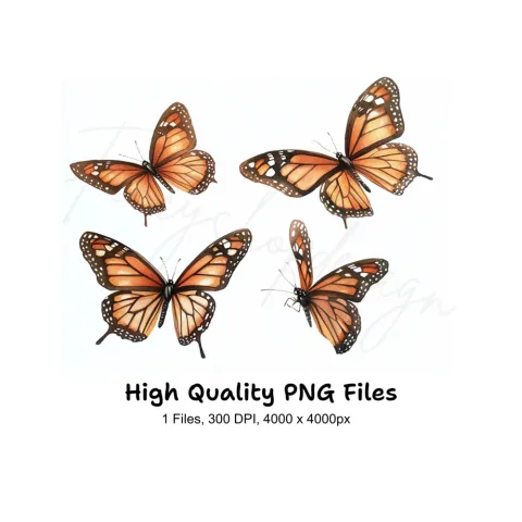 Monarch Butterfly Clipart Bundle