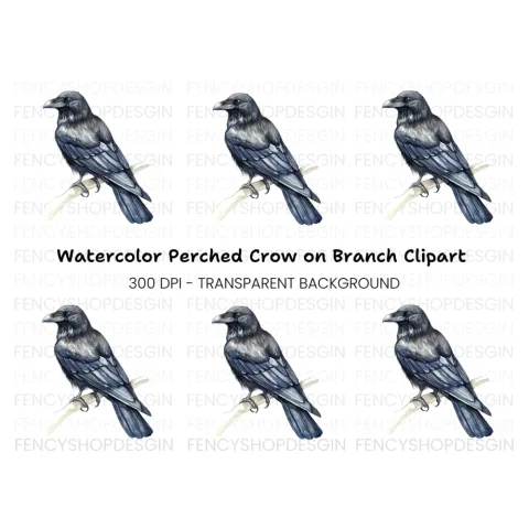 Black Raven Clipart Bundle