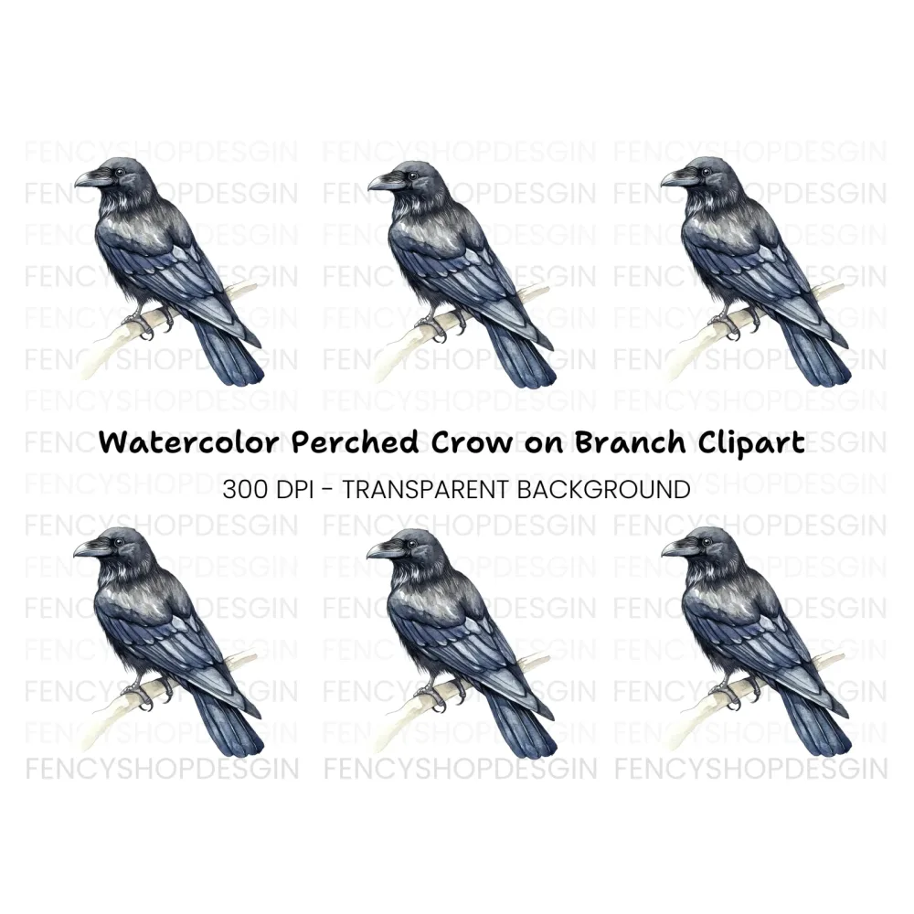 Black Raven Clipart Bundle