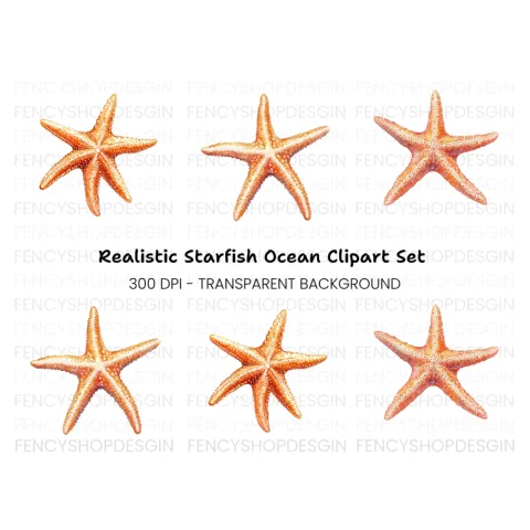 Realistic Starfish Clipart Bundle