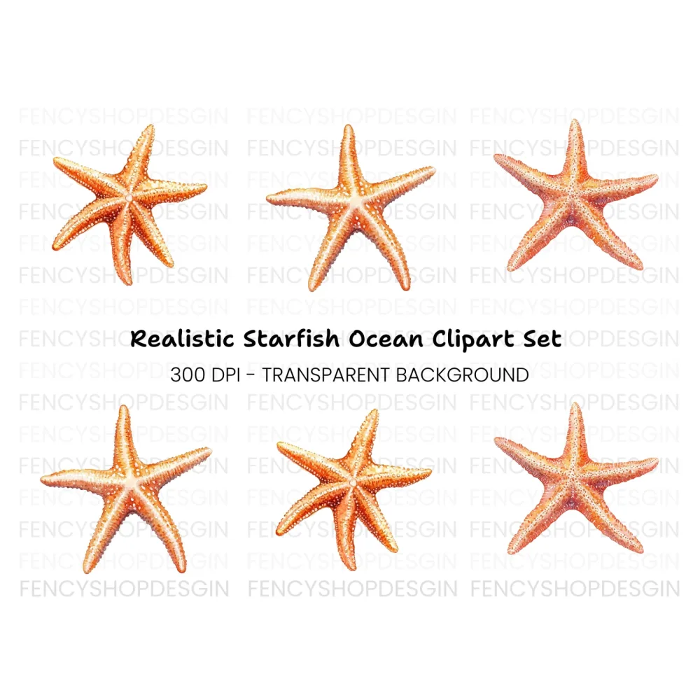 Realistic Starfish Clipart Bundle