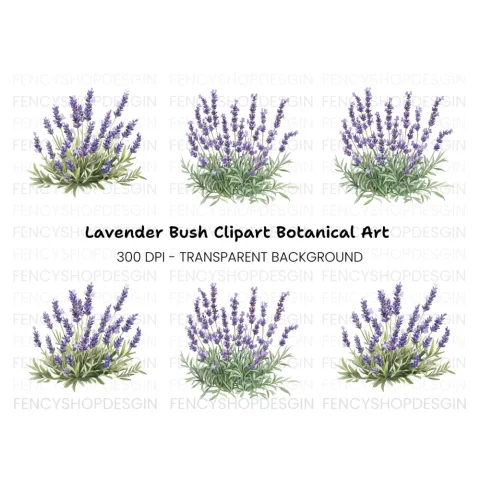 Lavender Bush Designs Clipart Bundle
