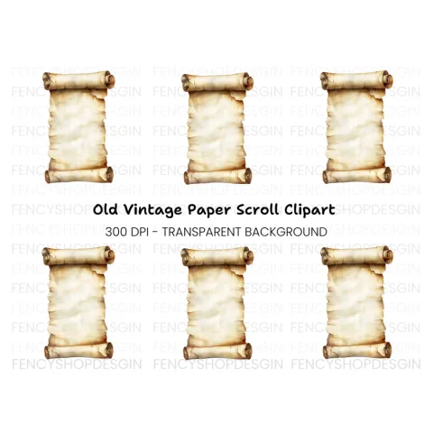 Aged Scroll Unfurled Parchment Clipart Bundle