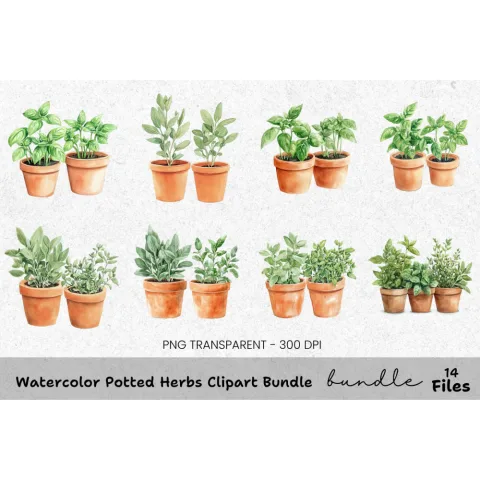 Potted Herbs Clipart Bundle