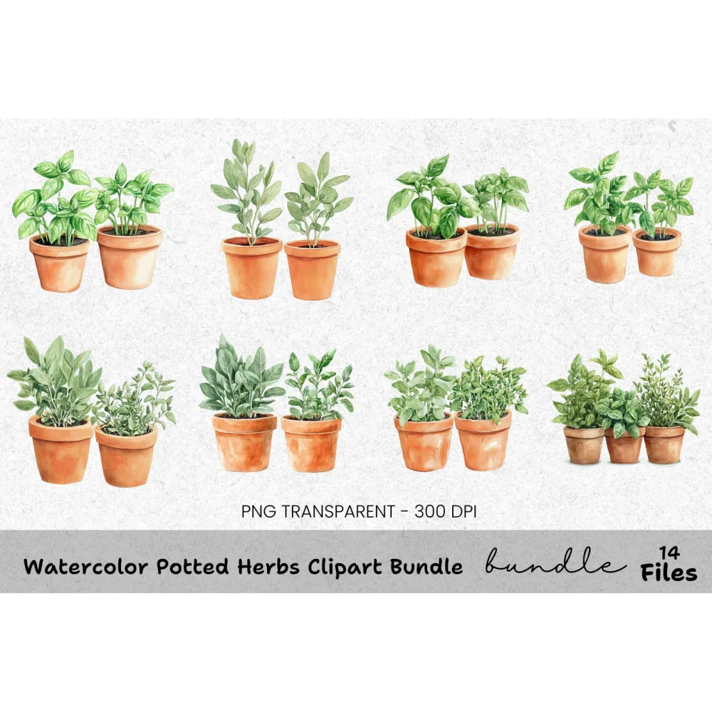 Potted Herbs Clipart Bundle