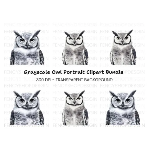 Majestic Horned Owl Clipart Bundle