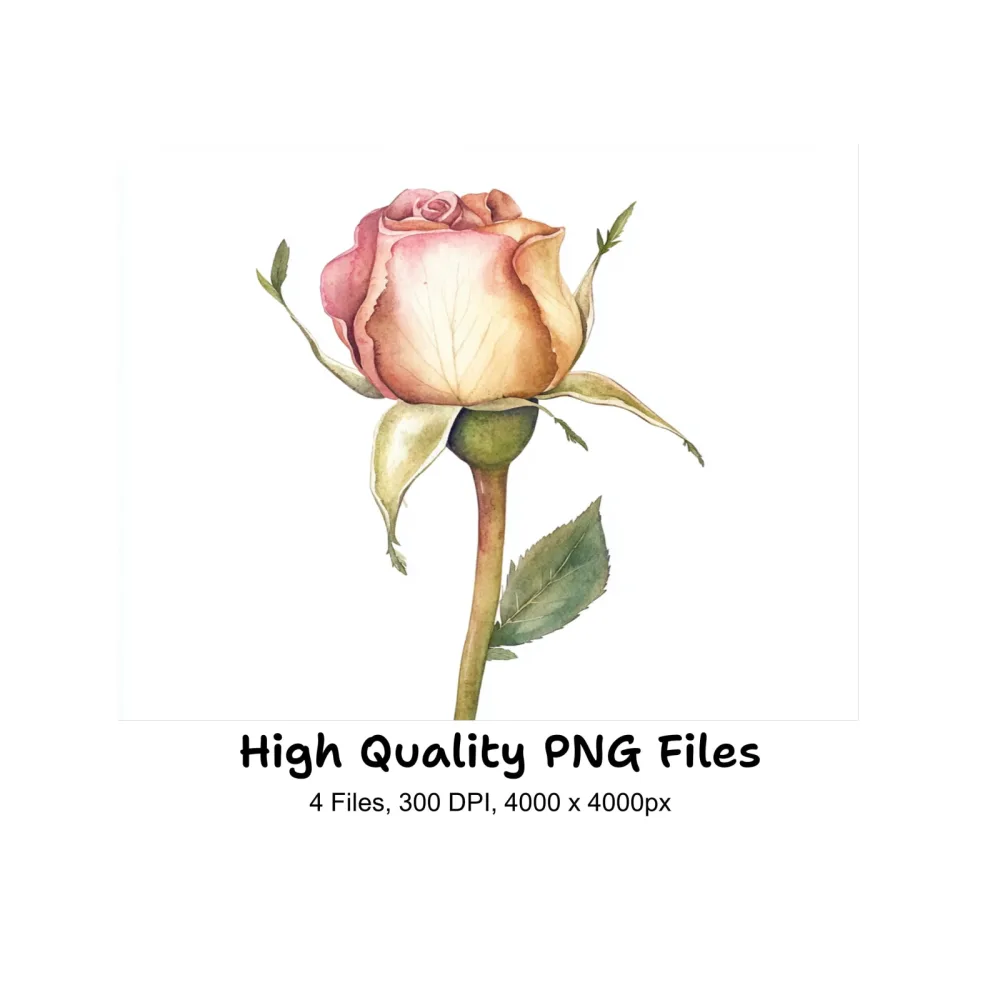 Pink Rose Bud Clipart Bundle