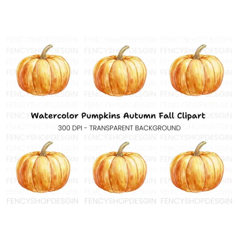 Pumpkins Clipart Bundle