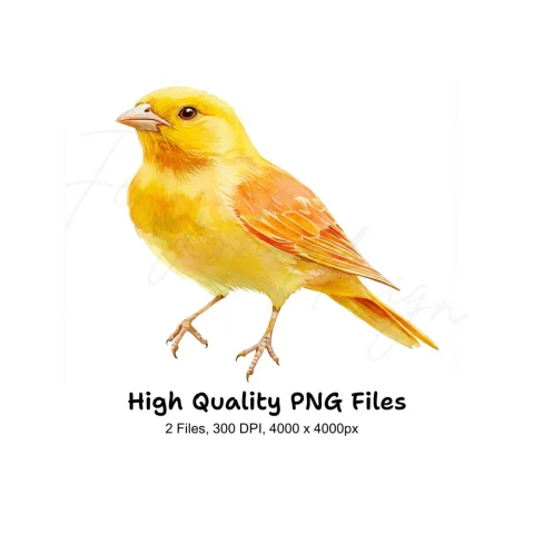 Vibrant Yellow Canary Bird Clipart Bundle