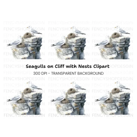 Seagulls on Rocks with Nests Clipart Bundle
