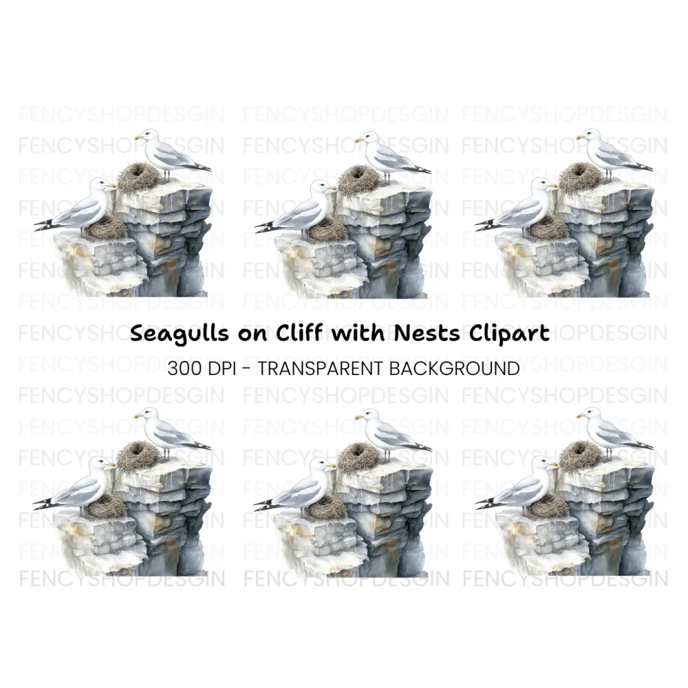 Seagulls on Rocks with Nests Clipart Bundle