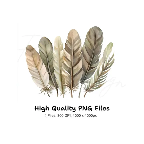 Earthy Tone Feather Grass Clipart Bundle
