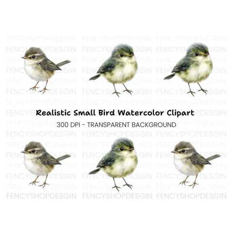 Cute Baby Birds Clipart Bundle