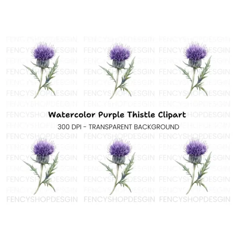 Elegant Purple Thistle Clipart Bundle