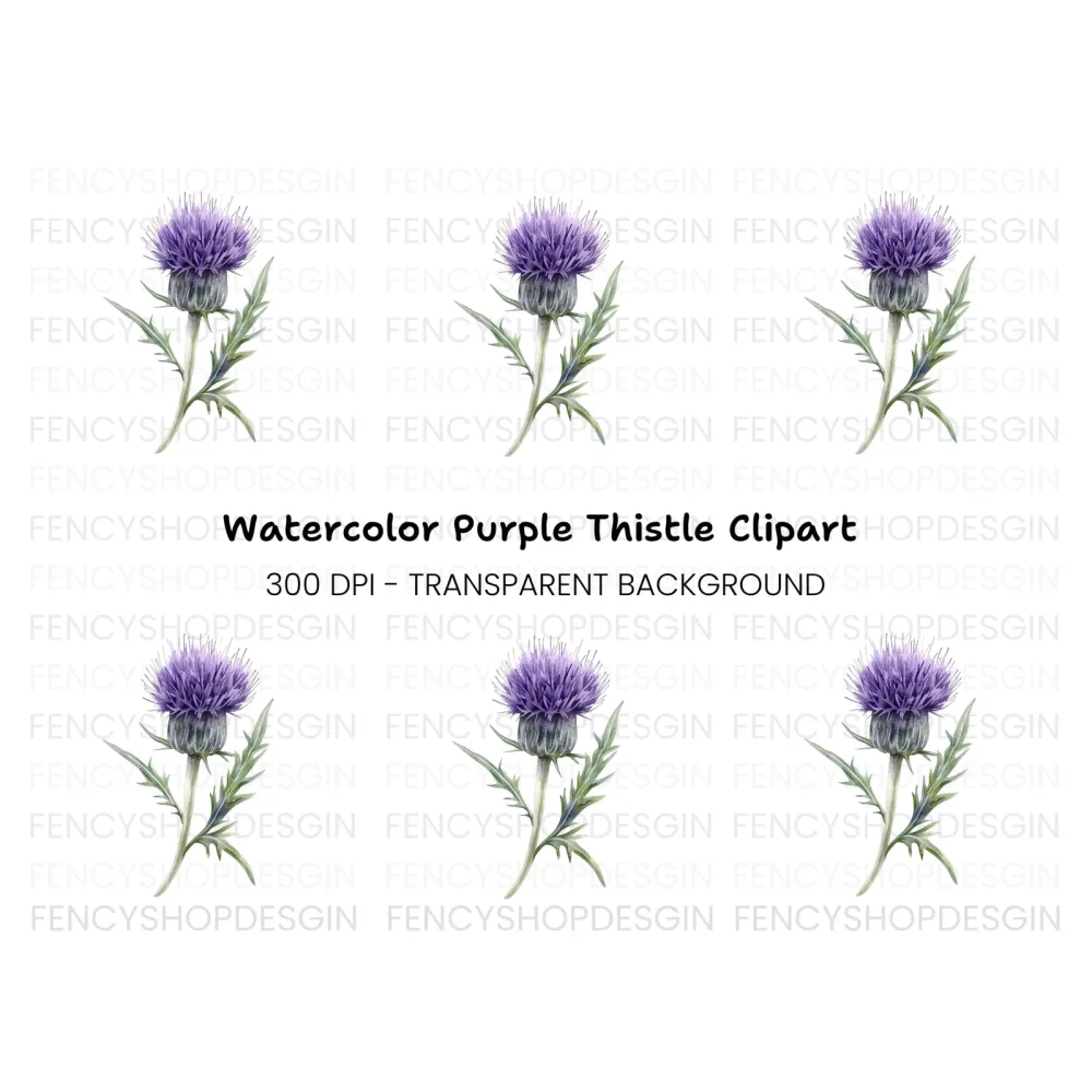 Elegant Purple Thistle Clipart Bundle