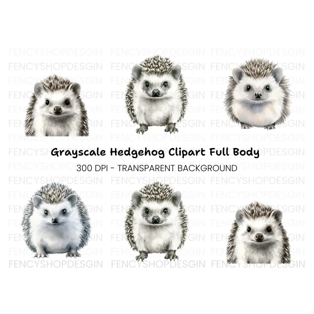 Adorable Hedgehog Clipart Bundle