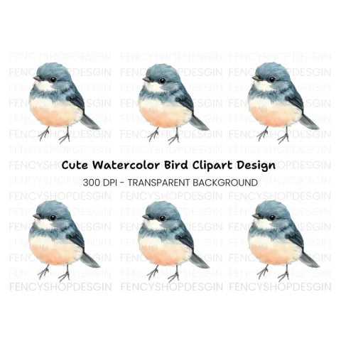 Cute Bird Clipart Bundle