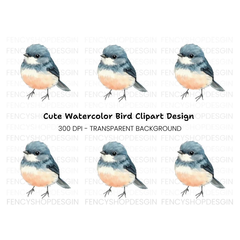 Cute Bird Clipart Bundle