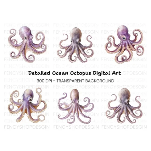 Purple Octopus Illustrations Clipart Bundle