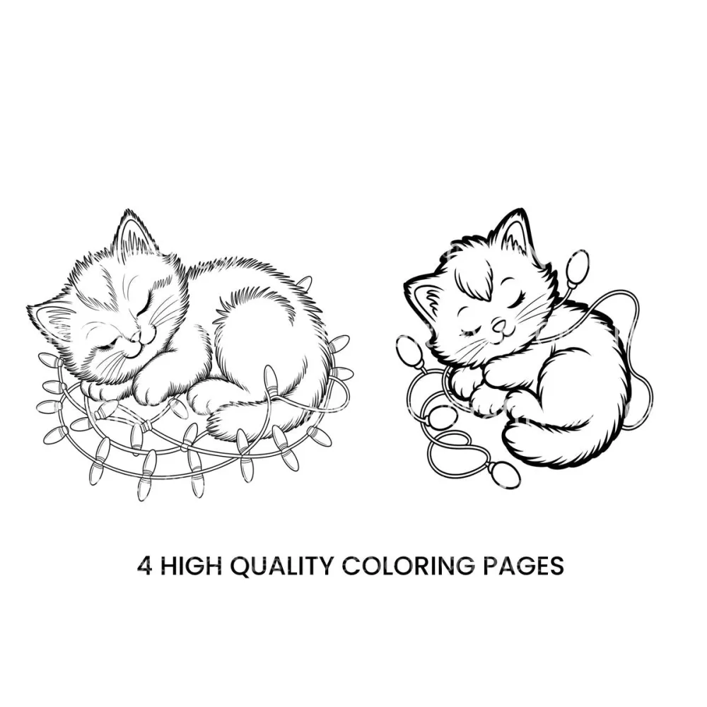 Sleeping Kittens with Christmas Lights Coloring Books