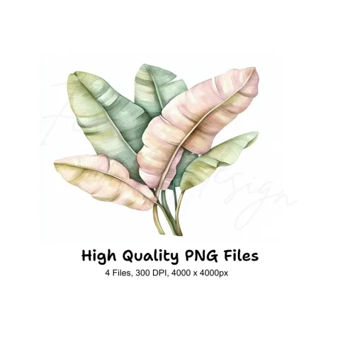 Banana Leaf Clipart Bundle