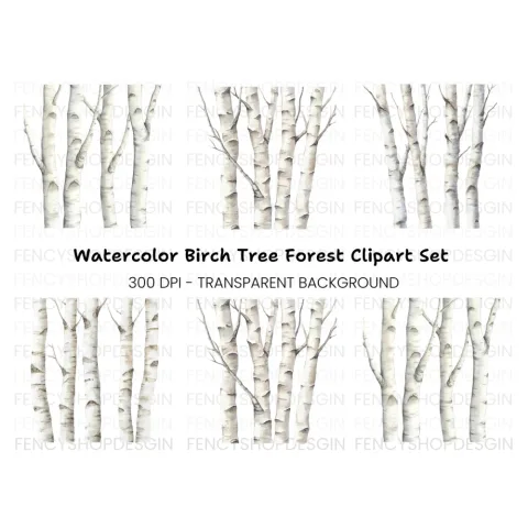 Birch Tree Trunks Clipart Bundle