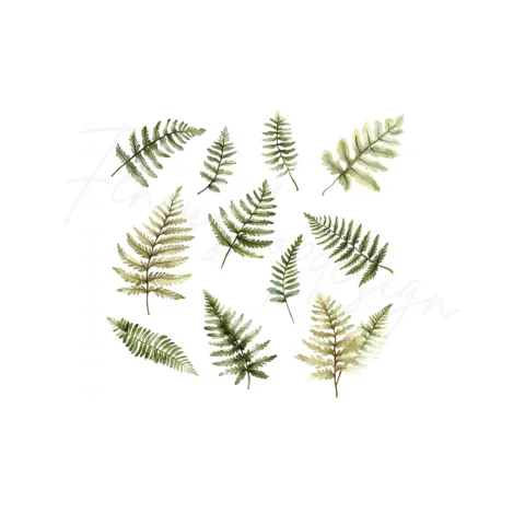 Fern Leaves Clipart Bundle