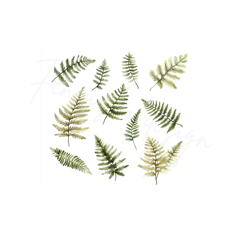 Fern Leaves Clipart Bundle