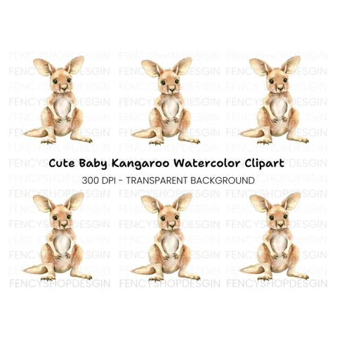 Adorable Baby Kangaroo Clipart Bundle