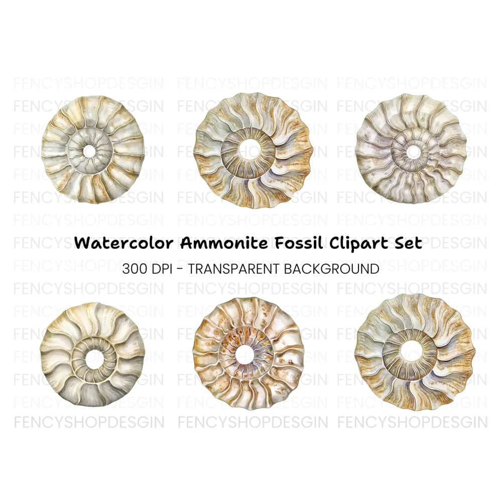 Vintage Ammonite Shell Clipart Bundle
