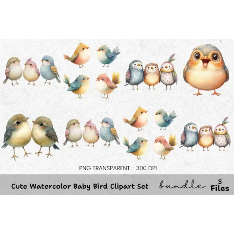 Cute Baby Bird Clipart Bundle