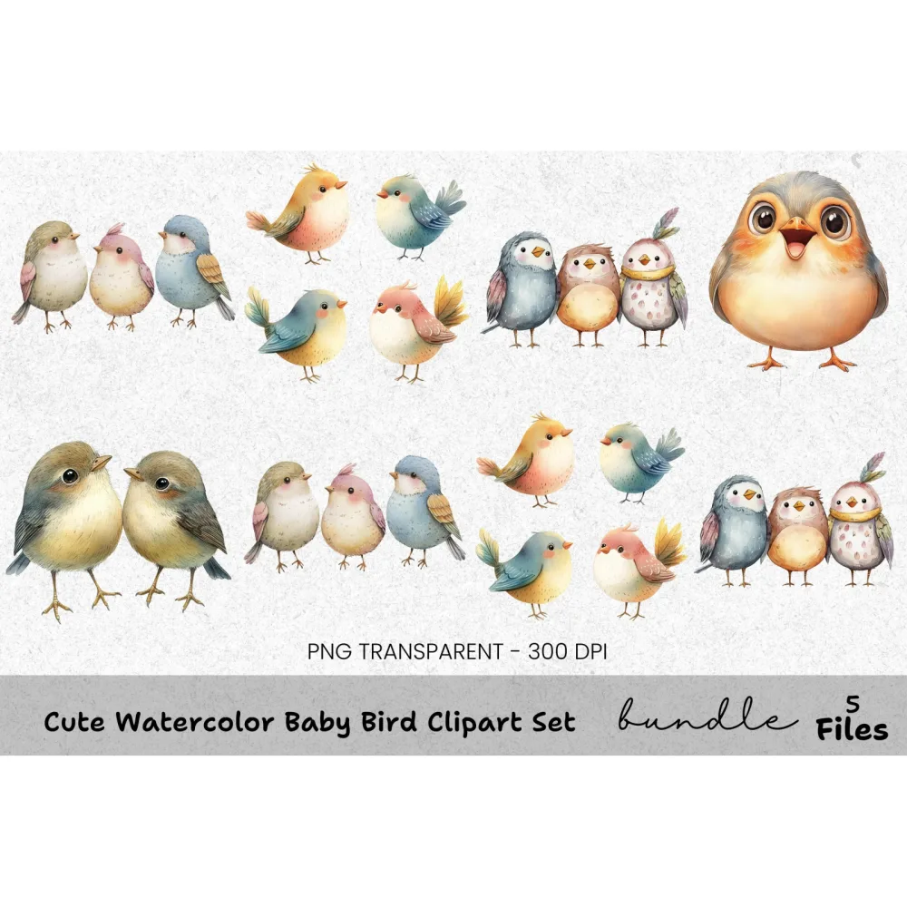 Cute Baby Bird Clipart Bundle