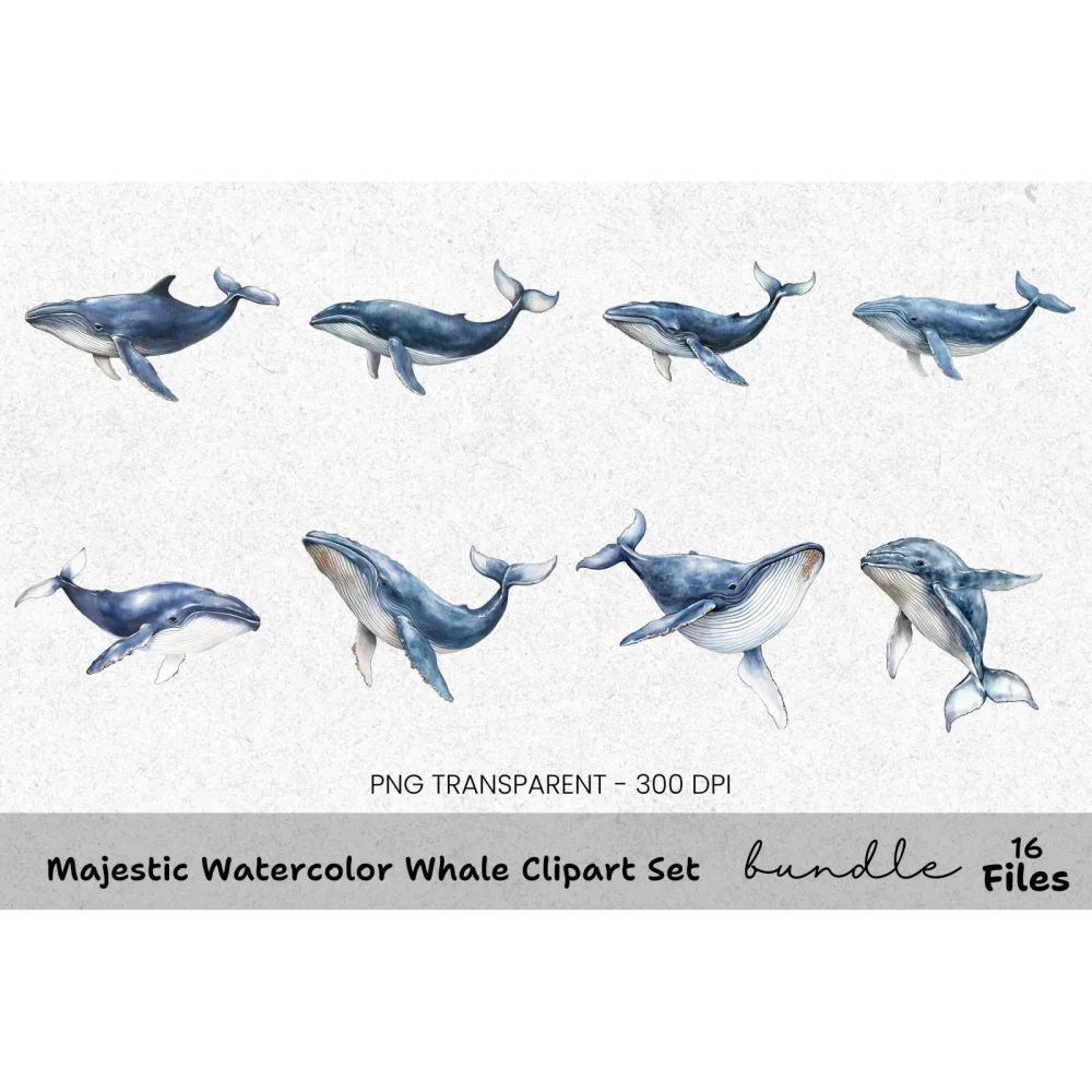 Majestic Whale Clipart Bundle