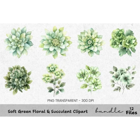 Soft Green Floral Succulent Clipart Bundle