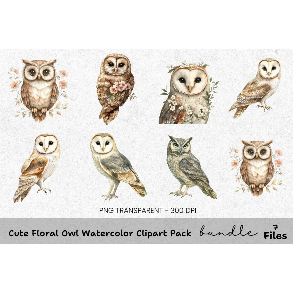 Cute Floral Owl Clipart Bundle