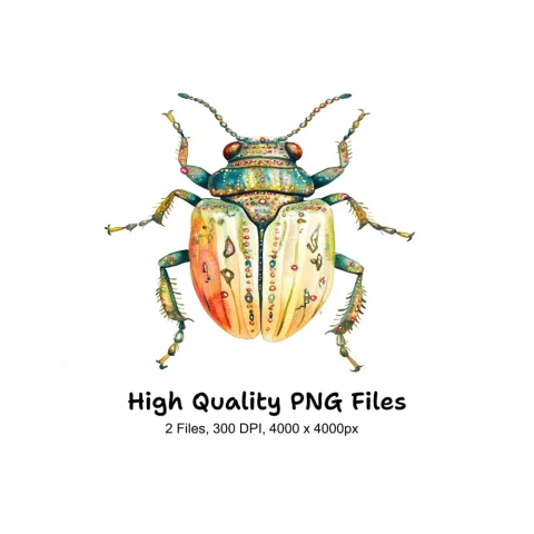 Colorful Ornate Beetle Clipart Bundle