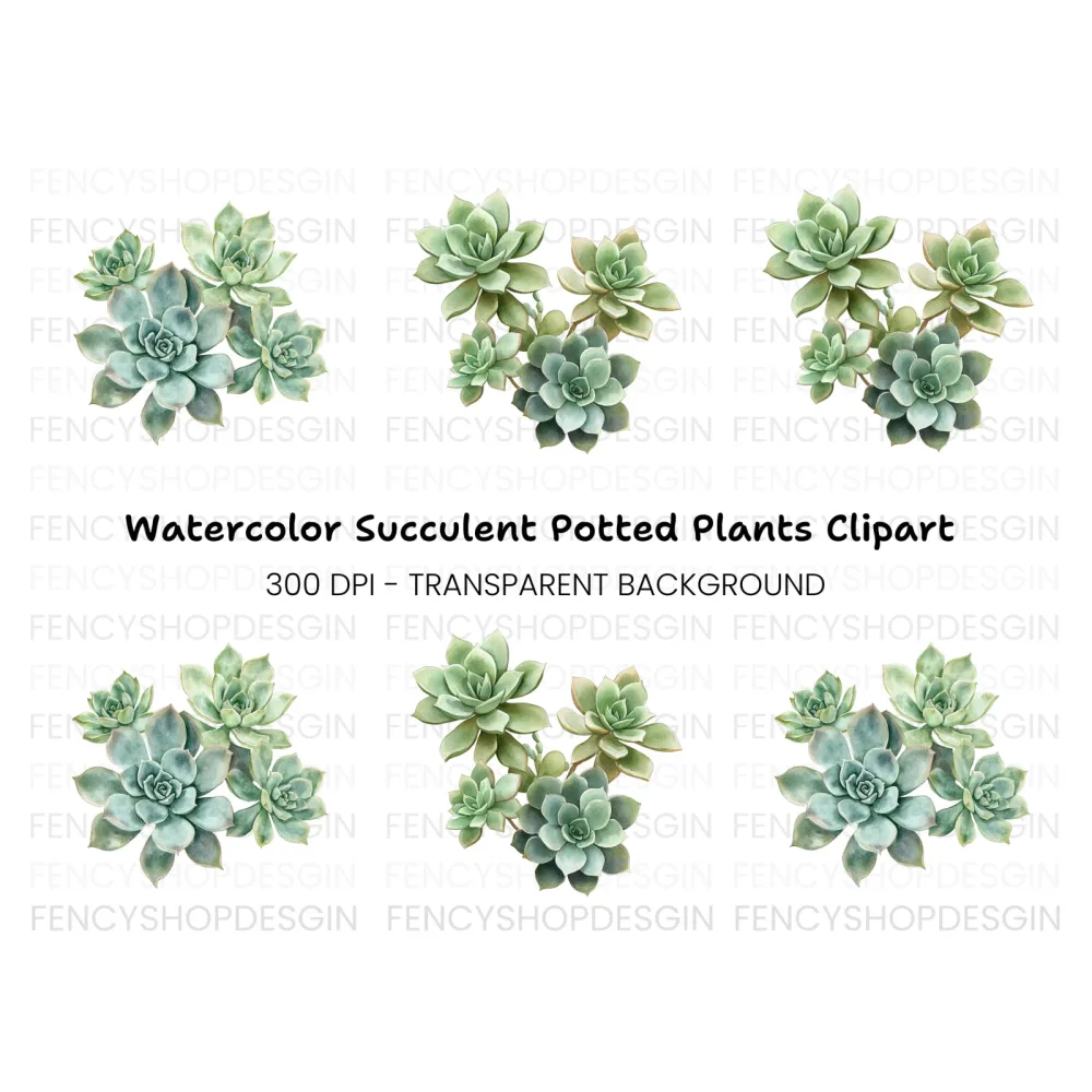 Lush Green Succulent Arrangement Clipart Bundle