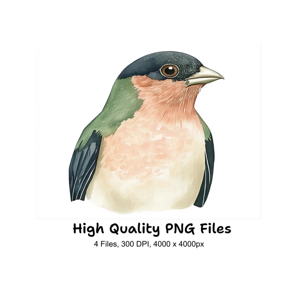 Beautiful Bird Clipart Bundle